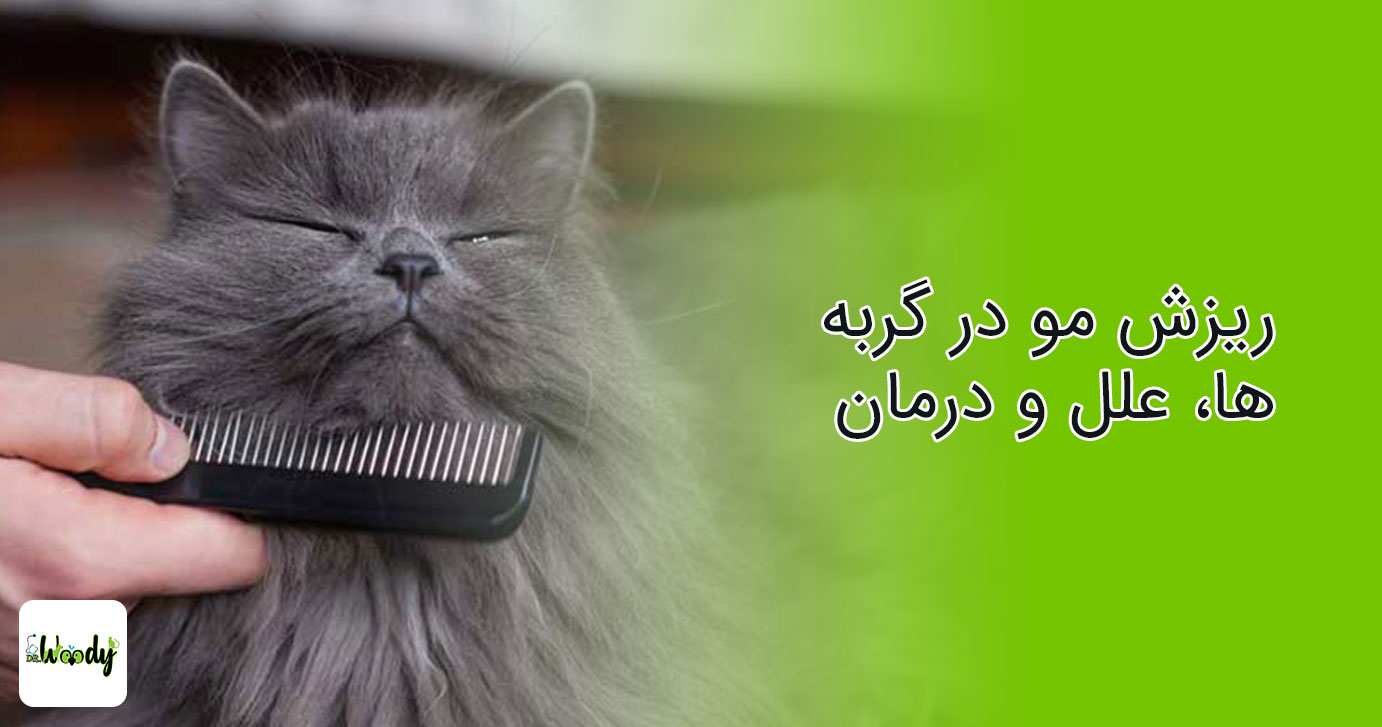 ریزش مو در گربه ها، علل و درمان