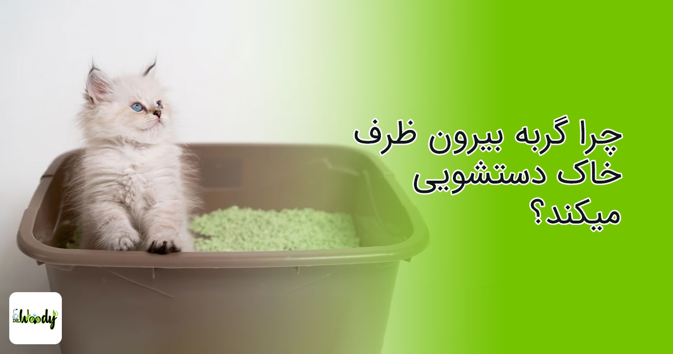 چرا گربه بیرون ظرف خاک دستشویی میکند؟