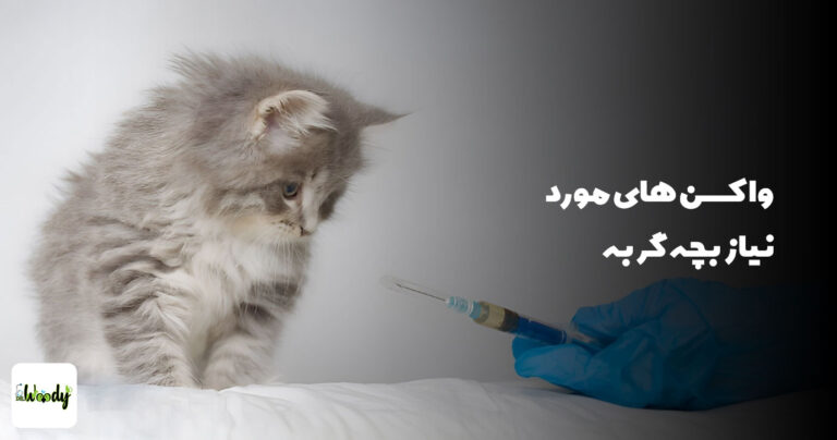 واکسن های مورد نیاز بچه گربه
